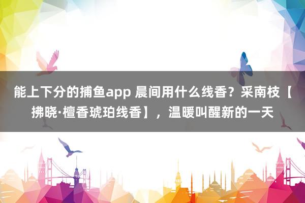 能上下分的捕鱼app 晨间用什么线香？采南枝【拂晓·檀香琥珀线香】，温暖叫醒新的一天