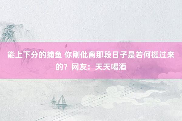 能上下分的捕鱼 你刚仳离那段日子是若何挺过来的？网友：天天喝酒
