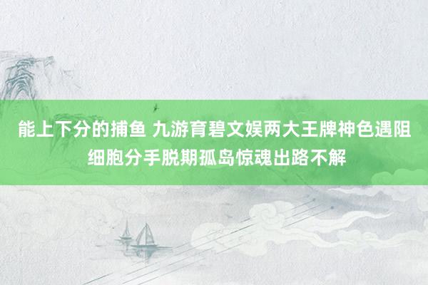   能上下分的捕鱼 九游育碧文娱两大王牌神色遇阻 细胞分手脱期孤岛惊魂出路不解