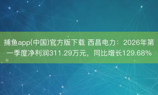 捕鱼app(中国)官方版下载 西昌电力：2026年第一季度净利润311.29万元，同比增长129.68%