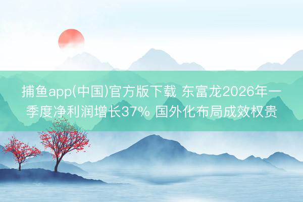 捕鱼app(中国)官方版下载 东富龙2026年一季度净利润增长37% 国外化布局成效权贵
