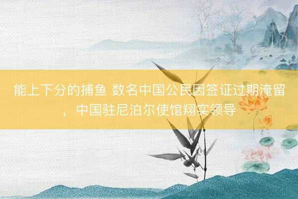 能上下分的捕鱼 数名中国公民因签证过期淹留，中国驻尼泊尔使馆翔实领导