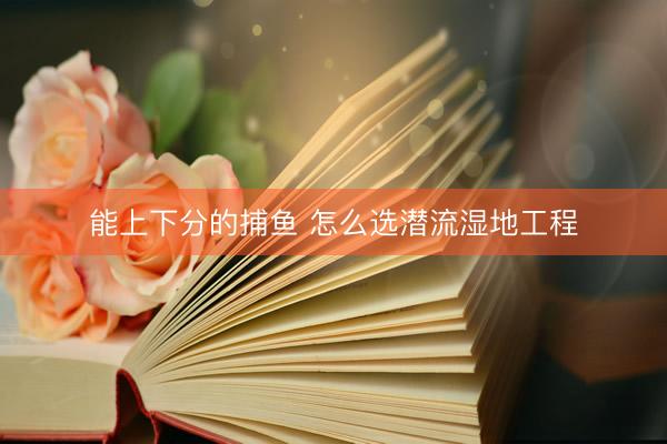   能上下分的捕鱼 怎么选潜流湿地工程